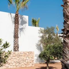 proyectos de construccion-can_jaume_03
