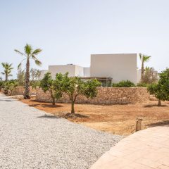 proyectos de construccion-can_jaume_09