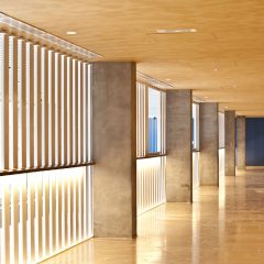 proyectos de construccion-od_port_portals_06